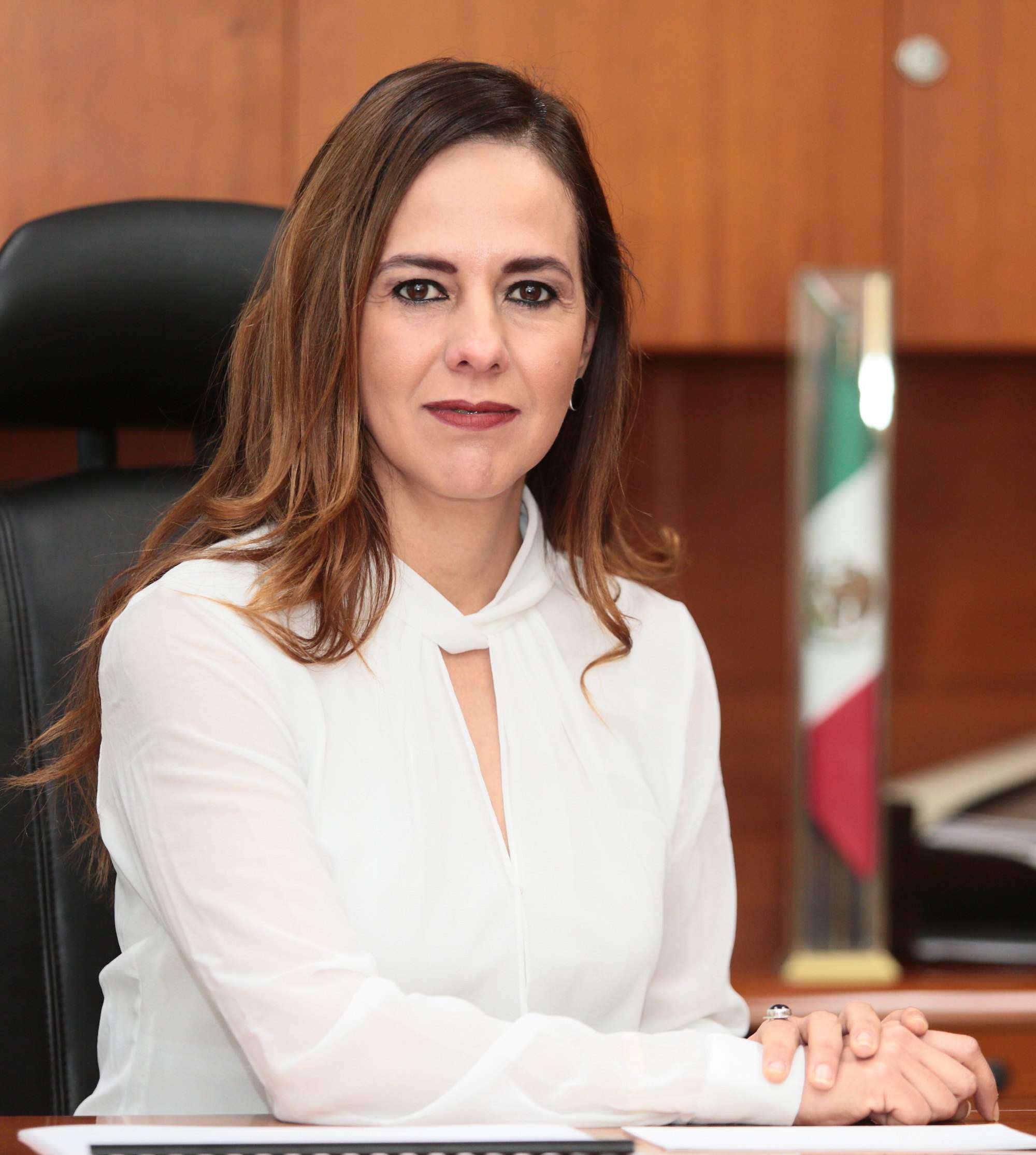 Lic. Teresa Guajardo Berlanga